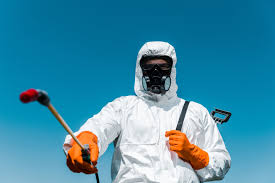 Best Residential Pest Control  in Chestnut Ridge, NY